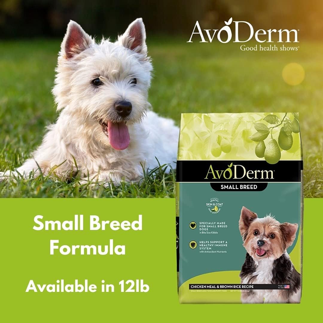 AvoDerm Small Breed Chicken Meal & Brown Rice Recipe Dry Dog Food – Gallery Image 3