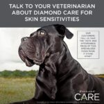 Diamond Care Sensitive Skin Formula for Adult Dogs Dry Dog Food, photo 15