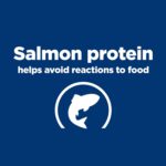 Hill’s Prescription Diet d/d Skin/Food Sensitivities Potato & Salmon Formula Dry Dog Food, photo 5