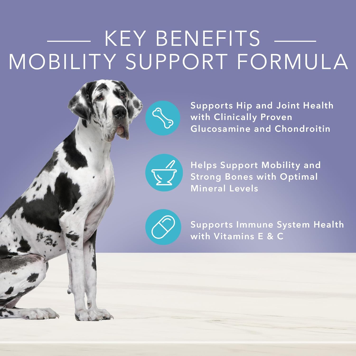 Blue True Solutions Jolly Joints Mobility Support Formula Dry Dog Food – Gallery Image 3