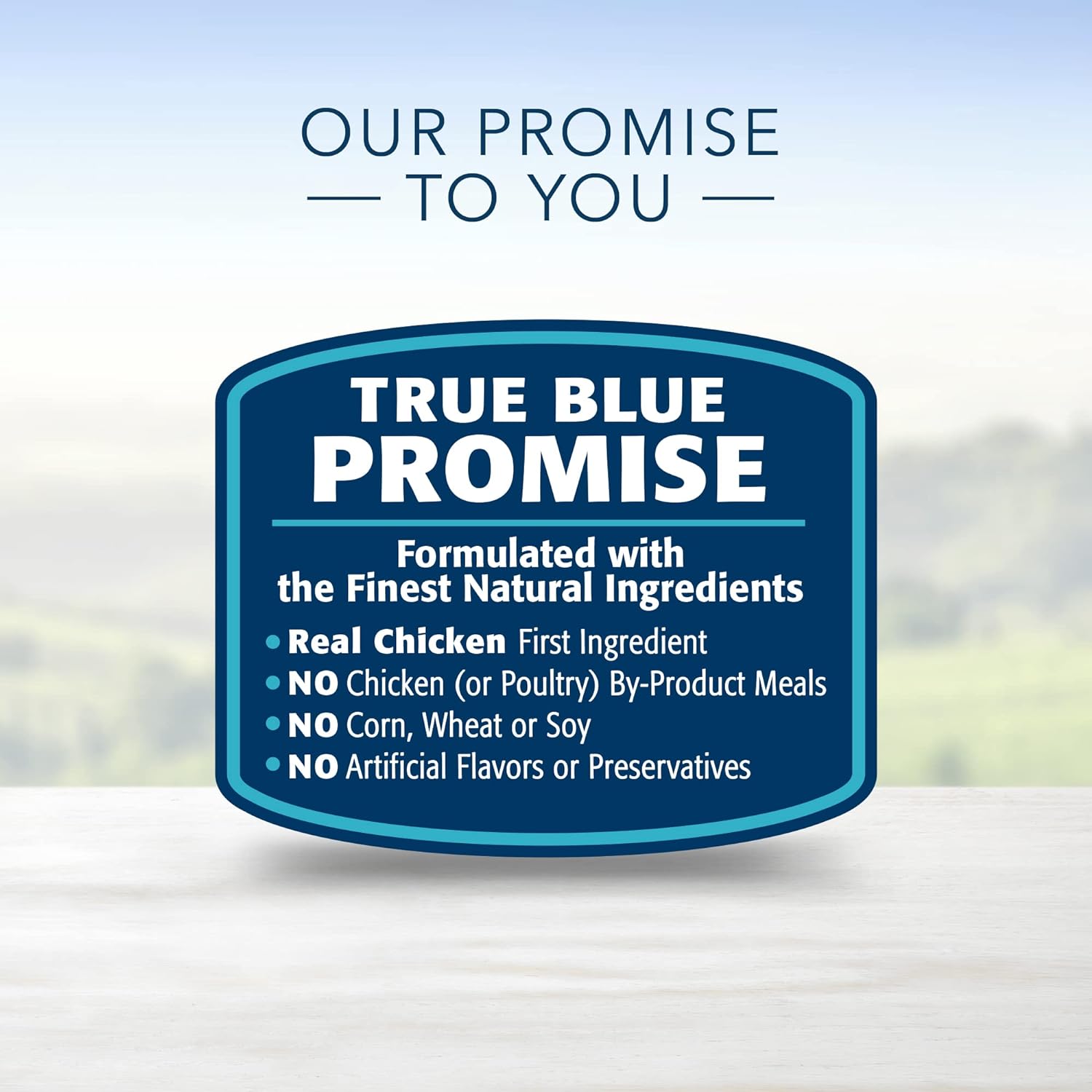 Blue Life Protection Formula Adult Small Breed Chicken and Brown Rice Recipe Dry Dog Food – Gallery Image 7