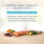 Blue Basics Limited Ingredient Diet Adult Grain-Free Salmon and Potato Recipe Dry Dog Food, photo 5