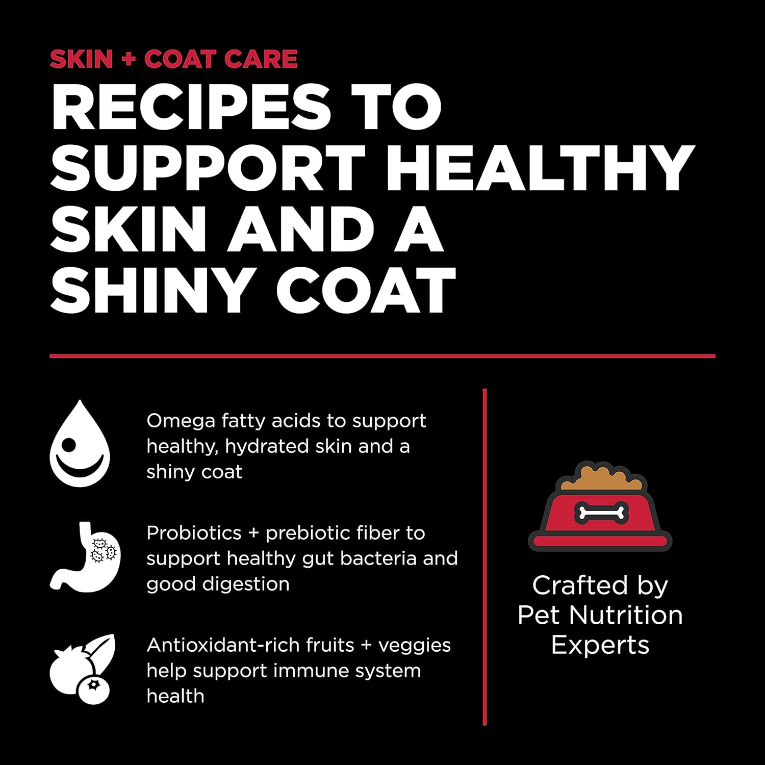 Go! Solutions Skin + Coat Care Lamb Recipe Dry Dog Food – Gallery Image 2