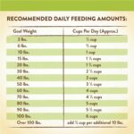 Merrick Limited Ingredient Diet Grain-Free Real Lamb & Sweet Potato Recipe Dry Dog Food, photo 10