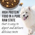 Merrick Backcountry Raw Infused Game Bird Recipe Dry Dog Food, photo 11