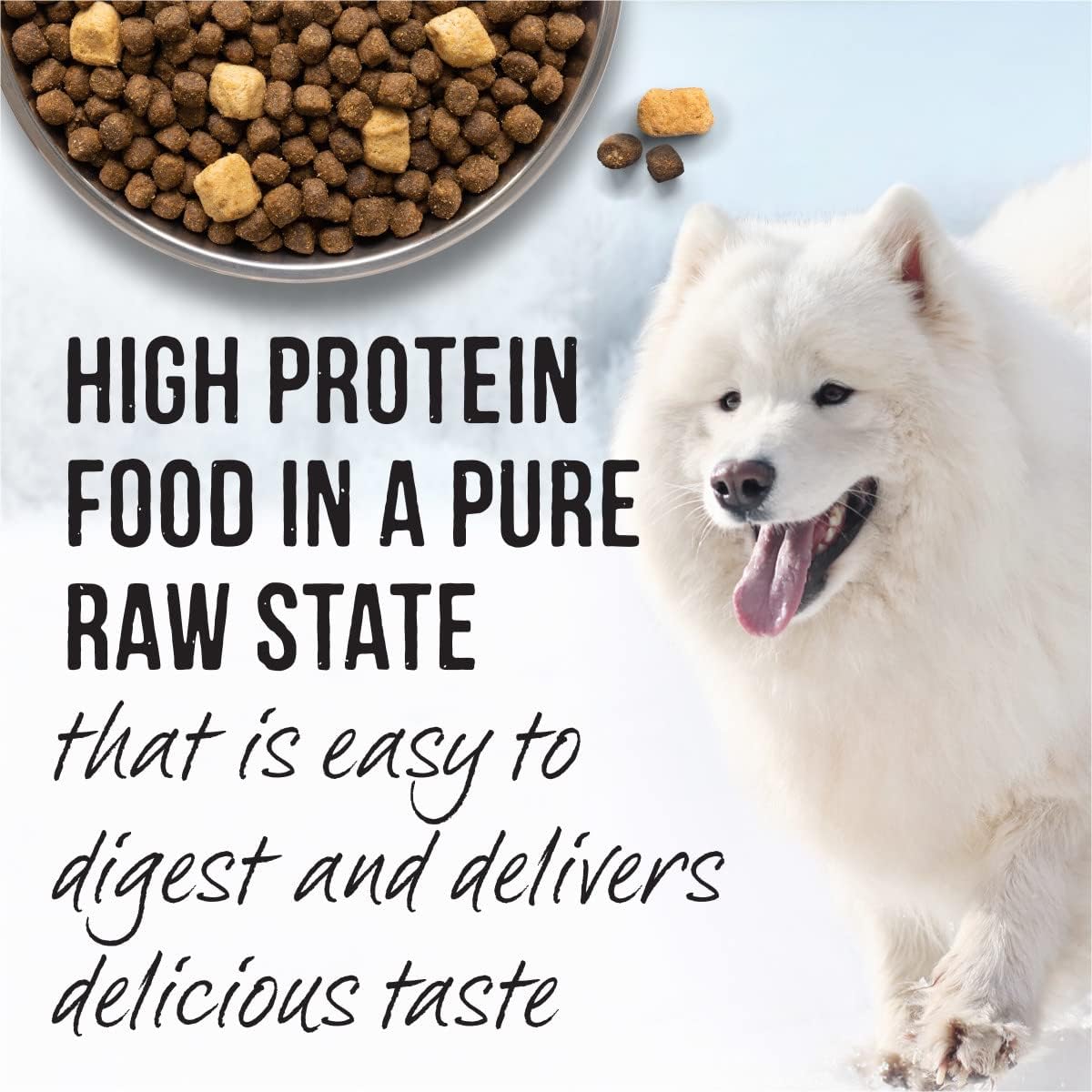 Merrick Backcountry Raw Infused Large Breed Recipe Dry Dog Food – Gallery Image 6
