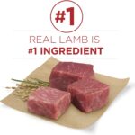 Purina One SmartBlend Adult Dog Lamb & Rice Formula Dry Dog Food, photo 6