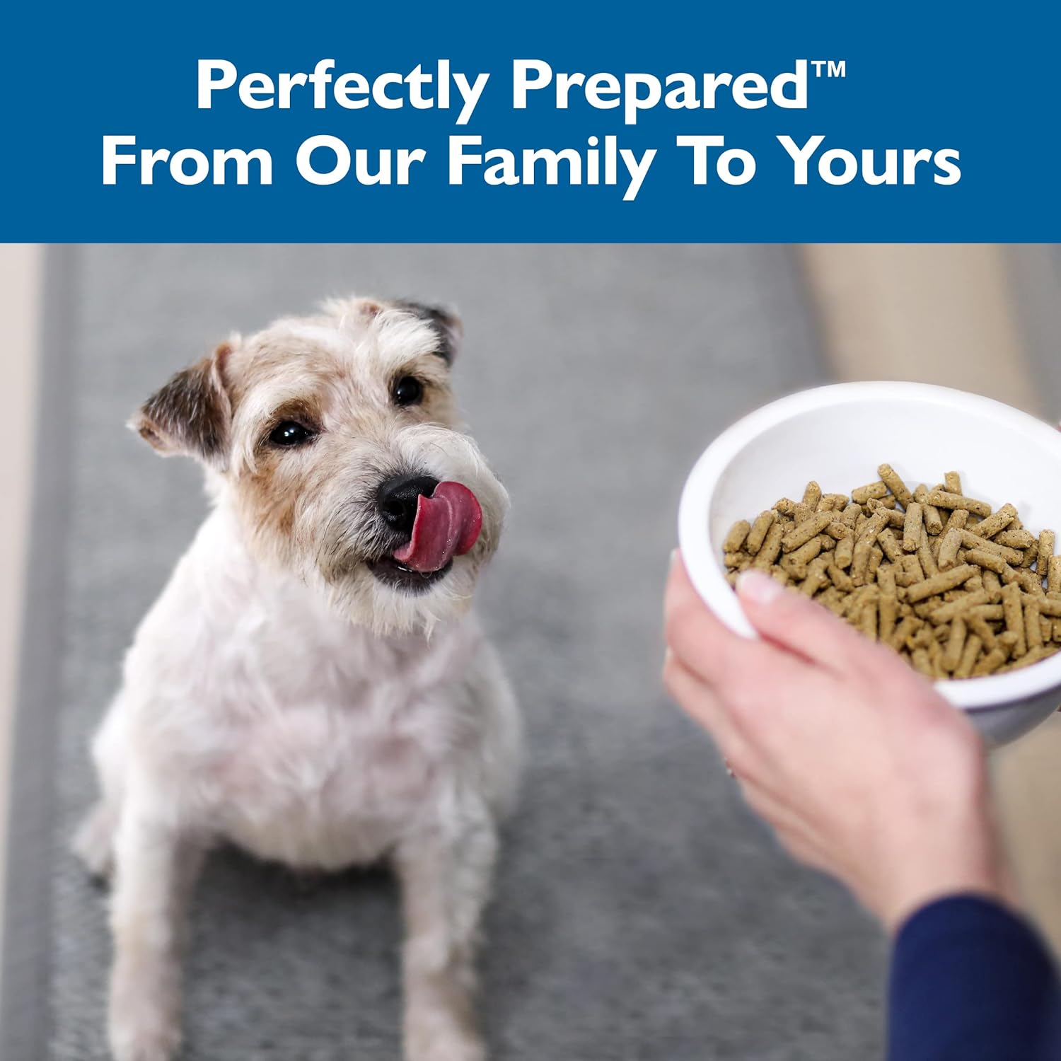 Bil-Jac Small Breed Adult Dry Dog Food – Gallery Image 4