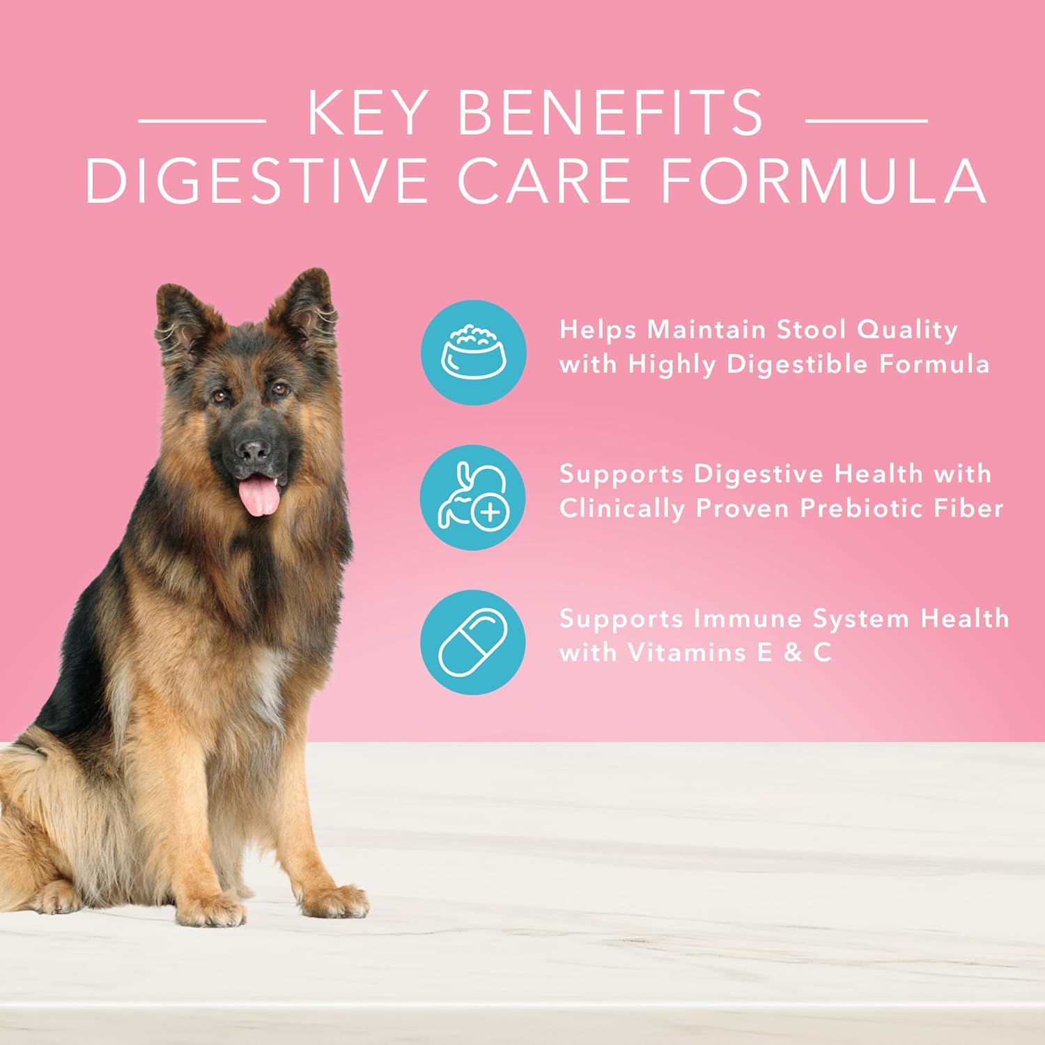 Blue True Solutions Blissful Belly Digestive Care Formula Dry Dog Food – Gallery Image 3
