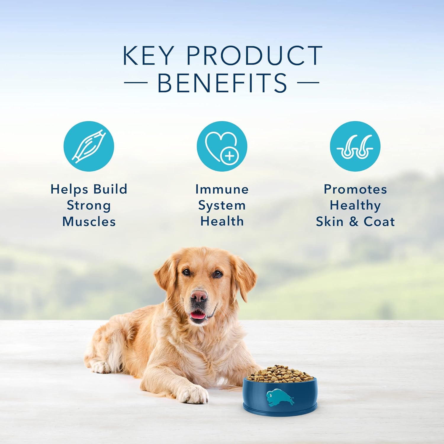 Blue Life Protection Formula Adult Fish and Brown Rice Recipe Dry Dog Food – Gallery Image 6