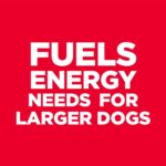 Hill’s Science Diet Adult 6+ Large Breed Chicken & Brown Rice Recipe No Corn, Wheat, Soy Dry Dog Food, photo 5