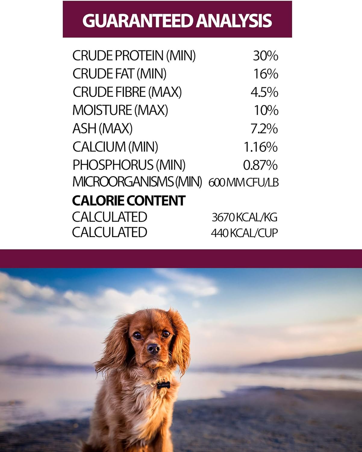 Horizon Amicus Grain-Free Adult Tri-Protein Formula Dry Dog Food – Gallery Image 4