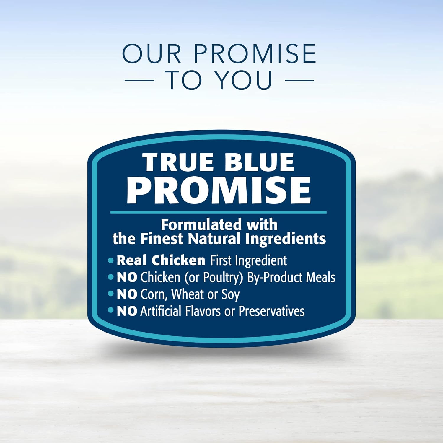 Blue Life Protection Formula Puppy Chicken and Brown Rice Recipe Dry Dog Food – Gallery Image 8