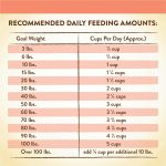 Merrick Limited Ingredient Diet Grain-Free Real Salmon & Sweet Potato Recipe Dry Dog Food, photo 12