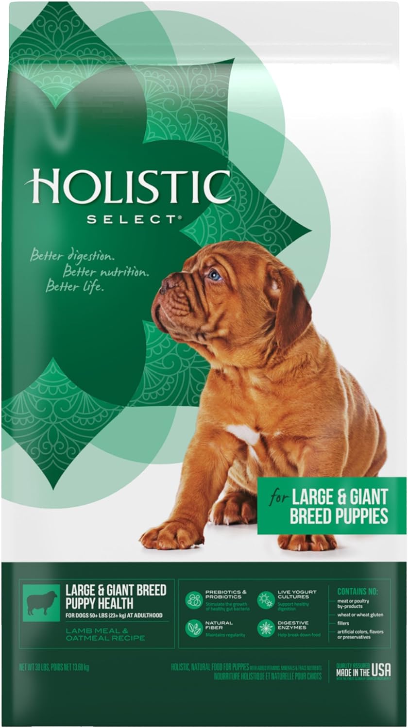 Holistic Select Large & Giant Breed Puppy Health Dry Dog Food – Gallery Image 1