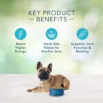 Blue Freedom Small Breed Adult Grain-Free Chicken and Potatoes Recipe Dry Dog Food, photo 6