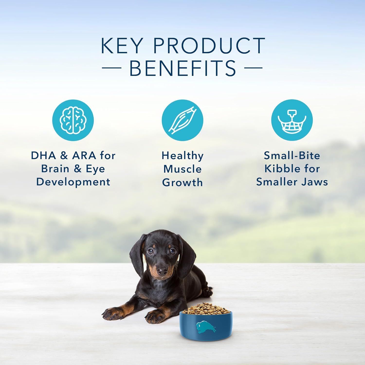 Blue Life Protection Formula Small Breed Puppy Chicken and Oatmeal Recipe Dry Dog Food – Gallery Image 4