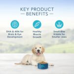 Blue Life Protection Formula Puppy Chicken and Brown Rice Recipe Dry Dog Food, photo 5