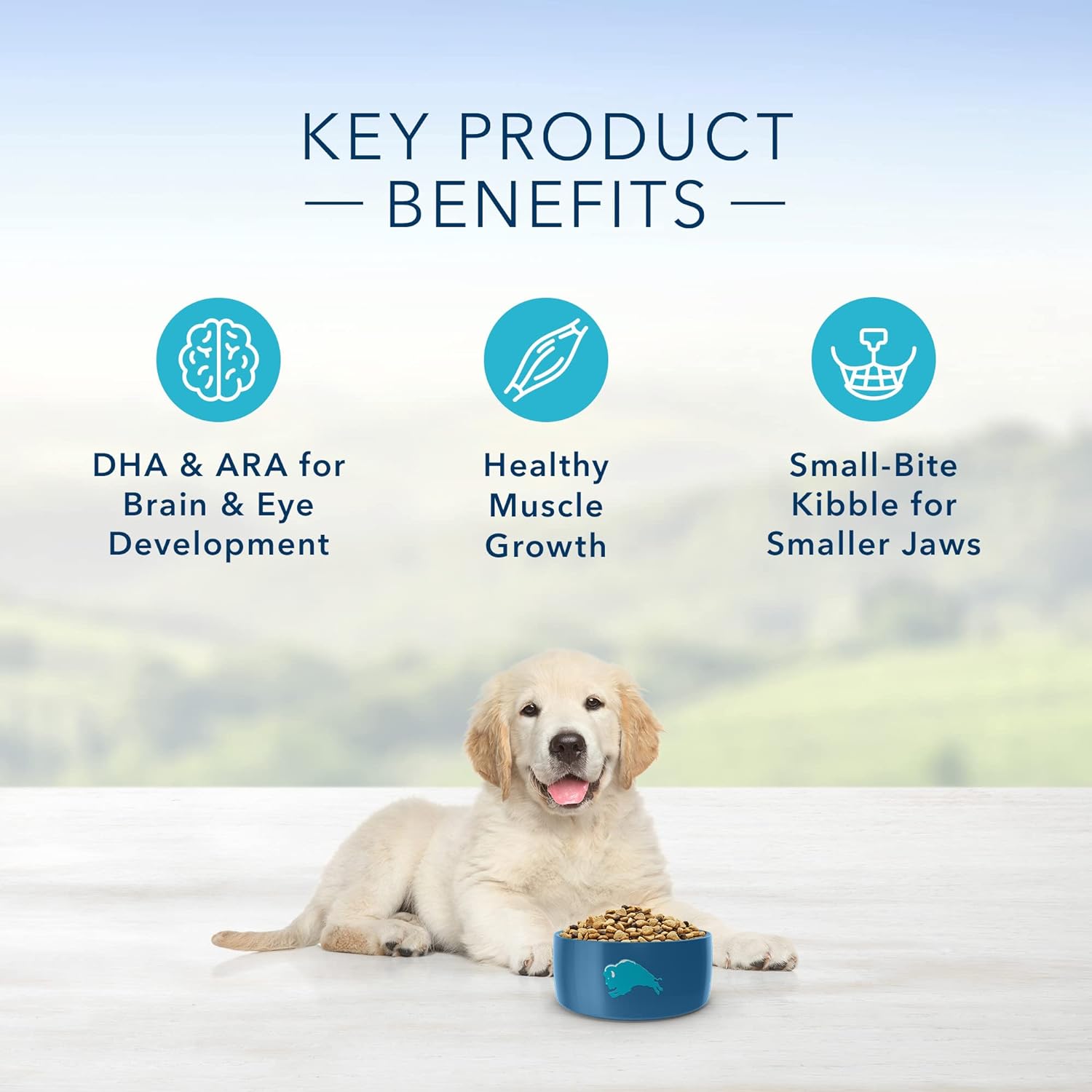 Blue Life Protection Formula Puppy Chicken and Brown Rice Recipe Dry Dog Food – Gallery Image 4