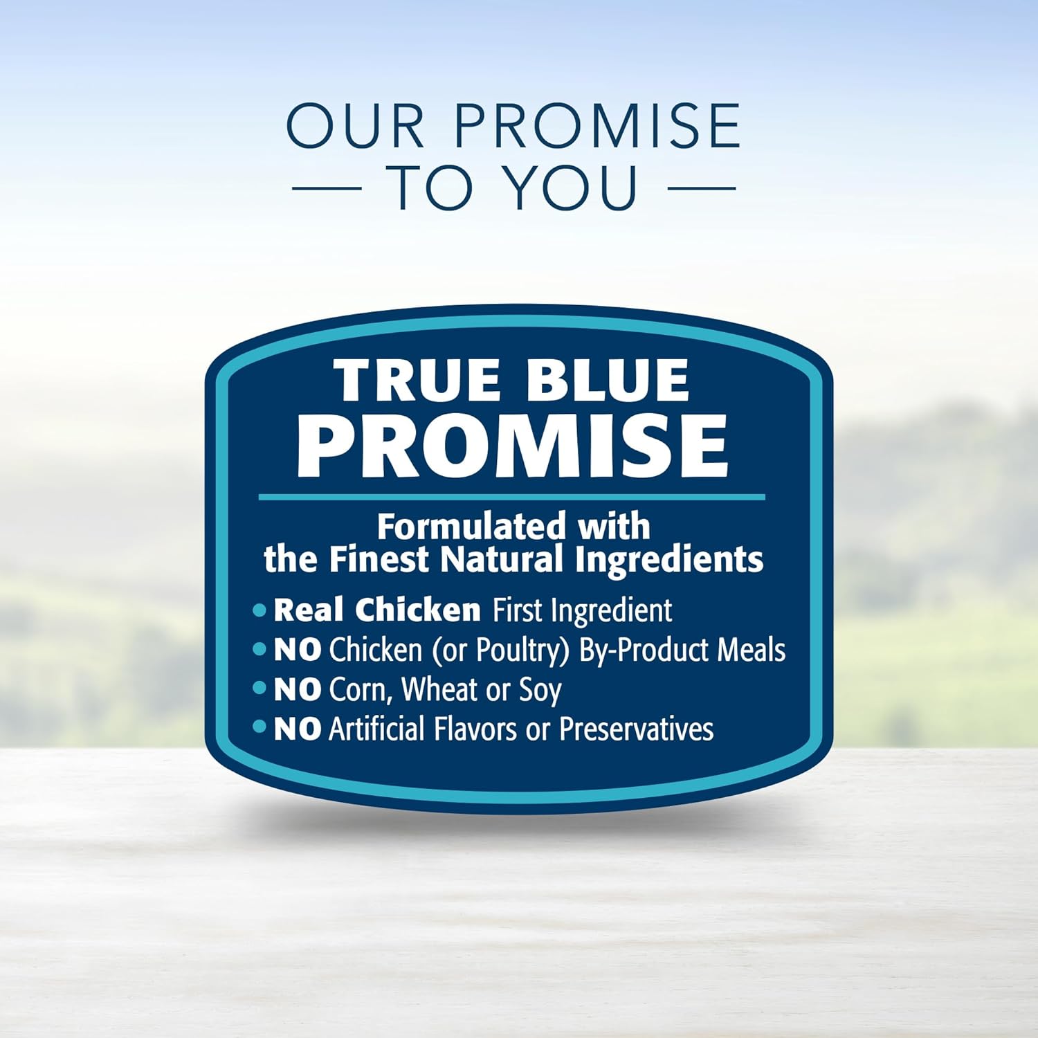 Blue Life Protection Formula Large Breed Adult Healthy Weight Chicken and Brown Rice Recipe Dry Dog Food – Gallery Image 7