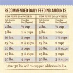 Merrick Lil’ Plates Grain-Free Puppy Real Chicken + Sweet Potato Recipe Dry Dog Food, photo 14