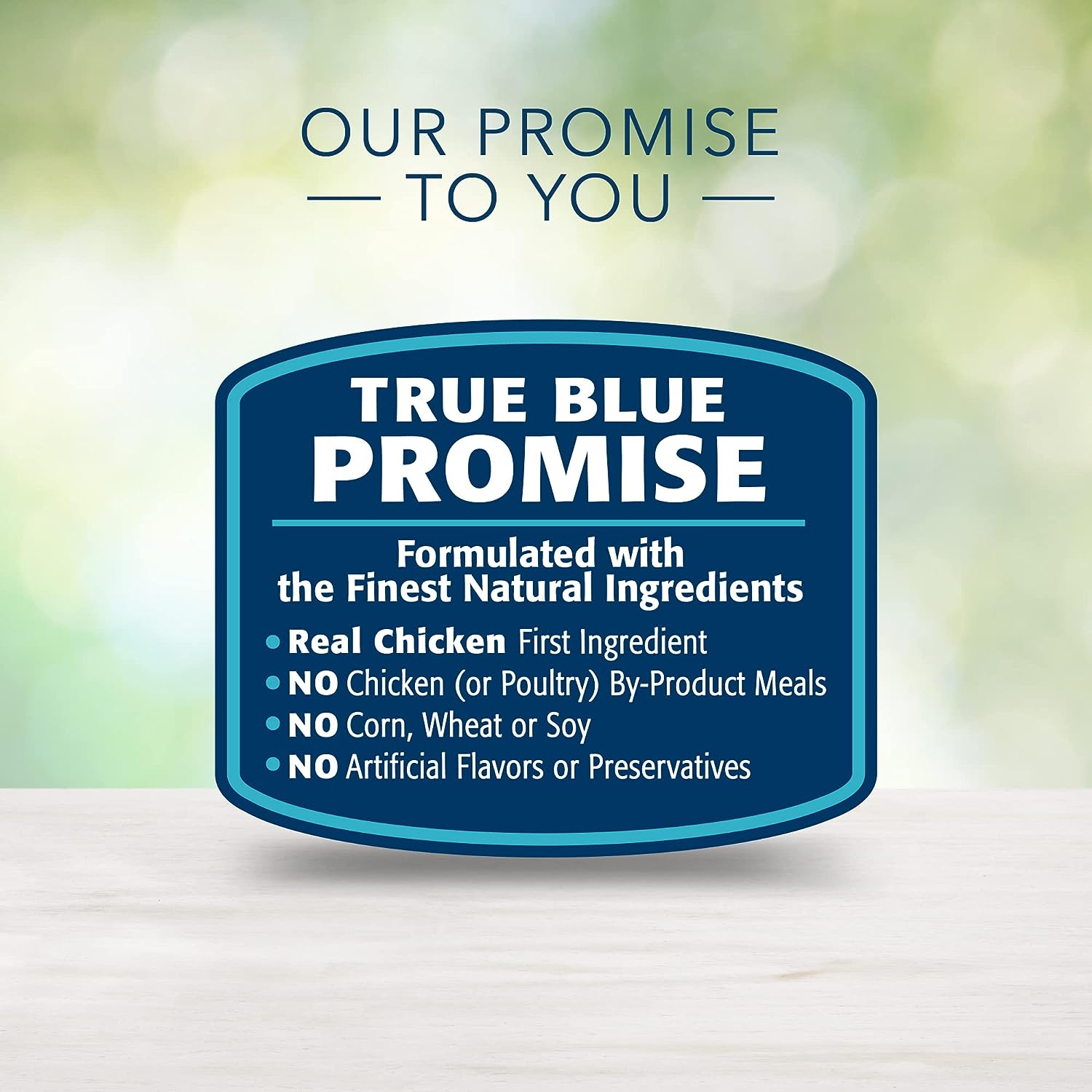 Blue Freedom Adult Grain-Free Chicken Recipe Dry Dog Food – Gallery Image 7