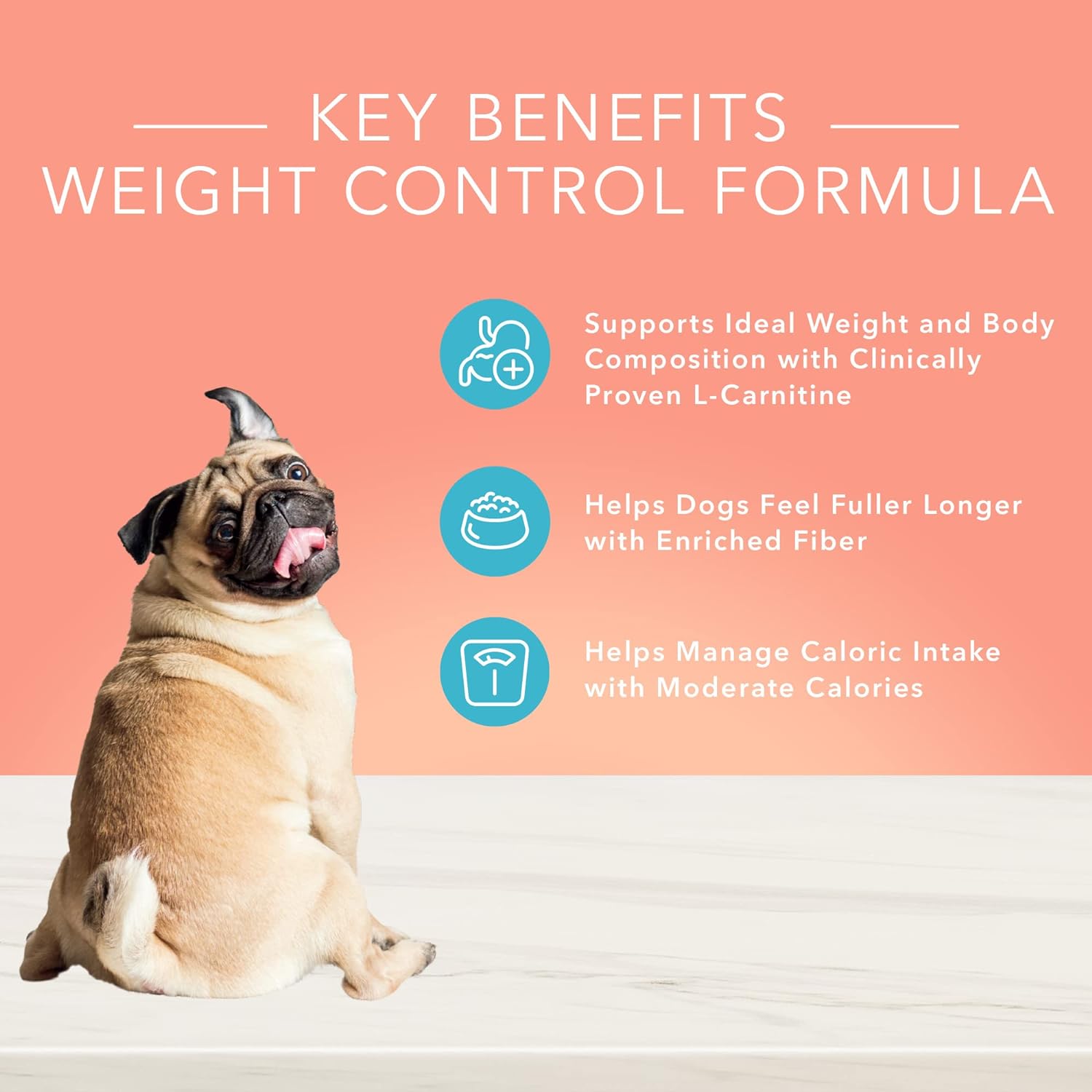 Blue True Solutions Fit & Healthy Weight Control Formula Dry Dog Food – Gallery Image 3