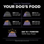 Go! Solutions Carnivore Grain-Free Chicken, Turkey + Duck Senior Recipe Dry Dog Food, photo 16
