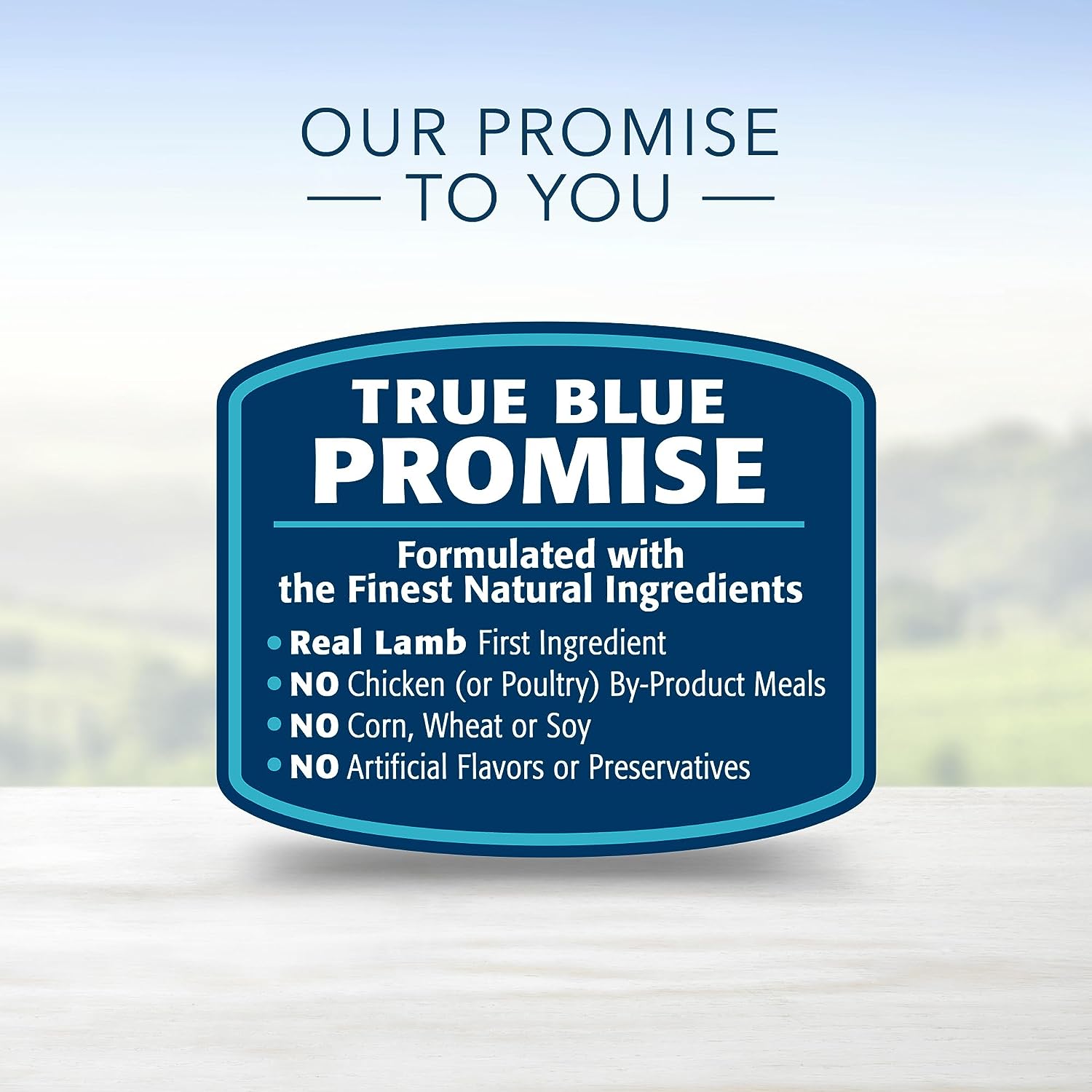 Blue Life Protection Formula Large Breed Adult Lamb and Brown Rice Recipe Dry Dog Food – Gallery Image 9