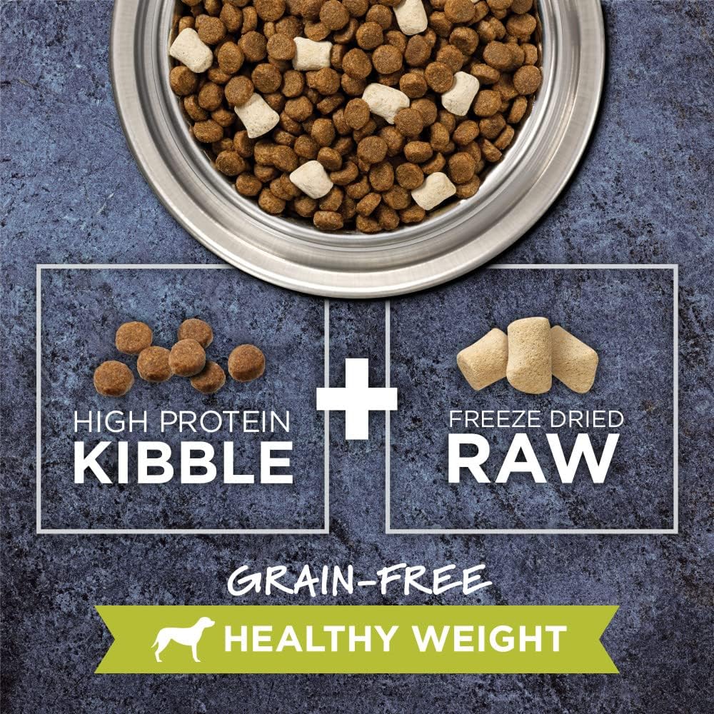 Instinct Raw Boost Grain-Free Recipe with Real Chicken For Healthy Weight Dry Dog Food – Gallery Image 3