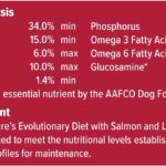 Blue Wilderness Adult Salmon Recipe Dry Dog Food, photo 6