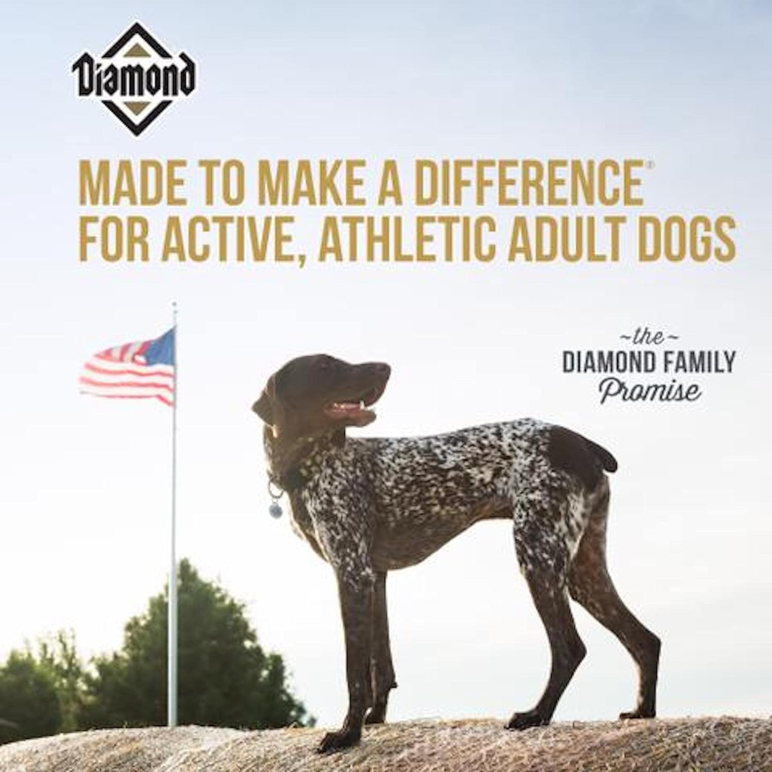 Diamond Premium Adult Dry Dog Food – Gallery Image 4