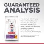 Hill’s Science Diet Adult Sensitive Stomach & Skin Small Bites Chicken Recipe Dry Dog Food, photo 9