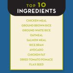 AvoDerm Large Breed Chicken Meal & Brown Rice Recipe Dry Dog Food, photo 8