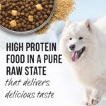 Merrick Backcountry Raw Infused Great Plains Red Recipe + Grains Dry Dog Food, photo 11