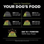 Go! Solutions Carnivore Grain-Free Chicken, Turkey + Duck Puppy Recipe Dry Dog Food, photo 14