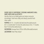 Acana Wholesome Grains Free-Run Poultry & Grains Recipe Dry Dog Food, photo 5