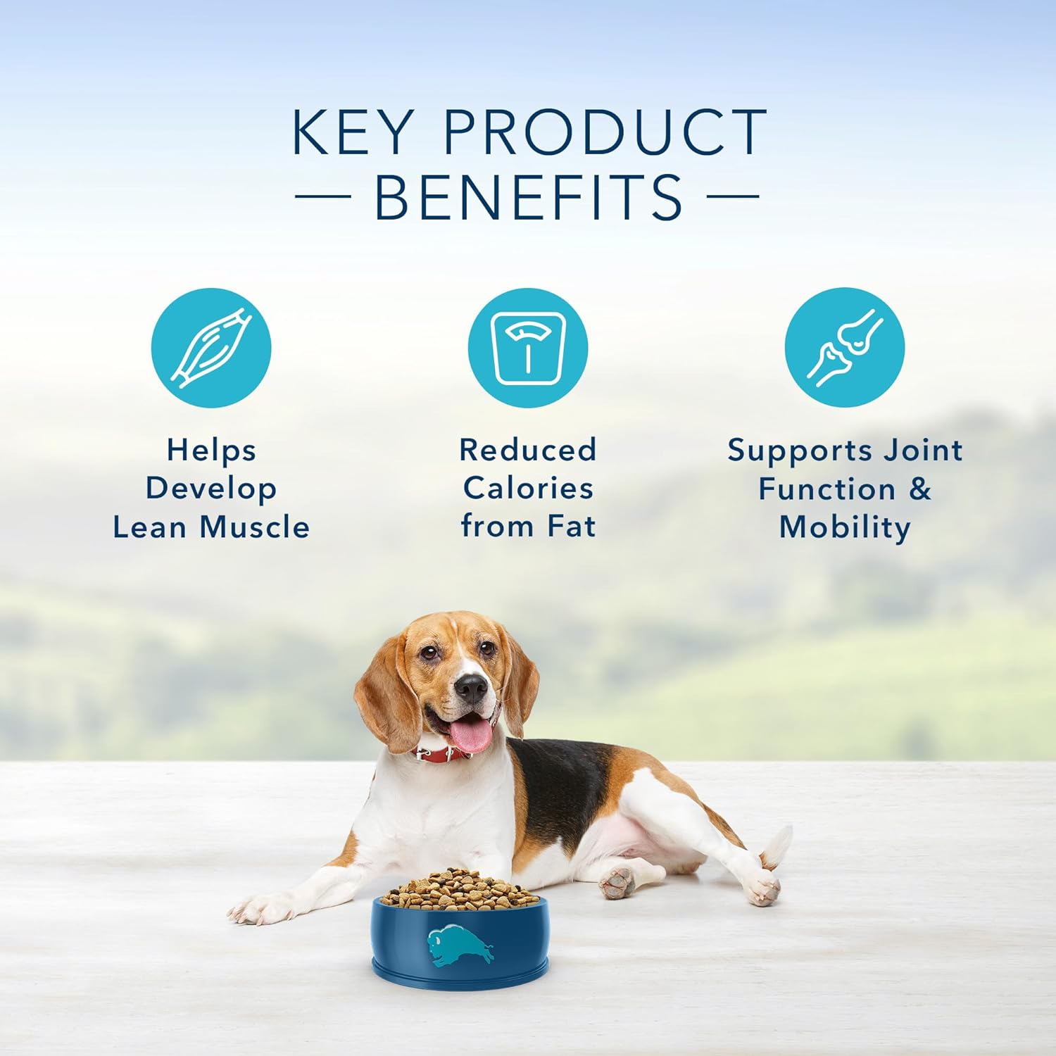 Blue Life Protection Formula Adult Healthy Weight Chicken and Brown Rice Recipe Dry Dog Food – Gallery Image 5