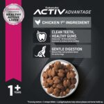 Eukanuba Adult Medium Breed Dry Dog Food, photo 12
