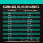 Merrick Backcountry Raw Infused Game Bird Recipe Dry Dog Food, photo 14