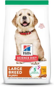 Hill’s Science Diet Puppy Large Breed Chicken Meal & Oats Recipe Dry Dog Food