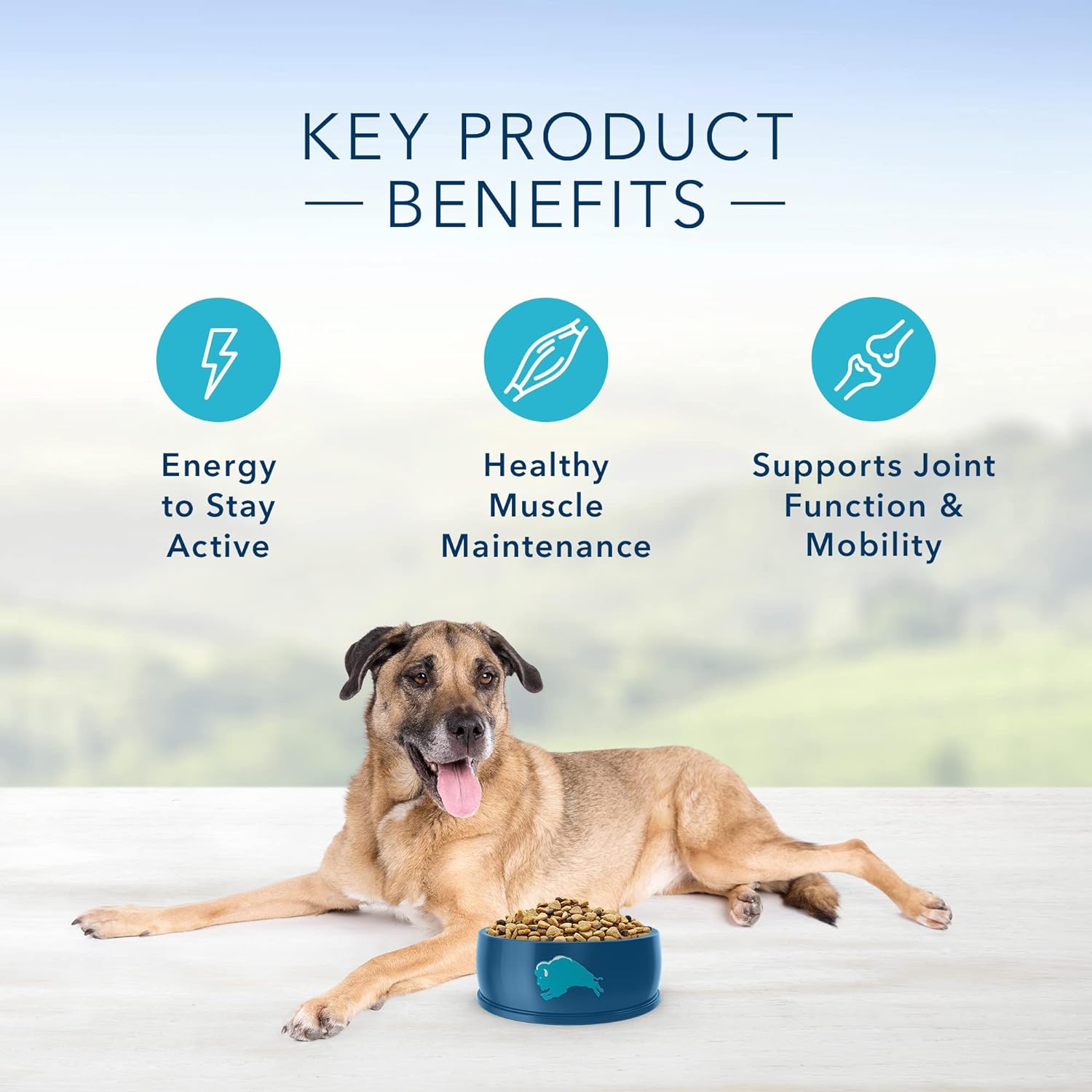 Blue Life Protection Formula Senior Chicken and Brown Rice Recipe Dry Dog Food – Gallery Image 5