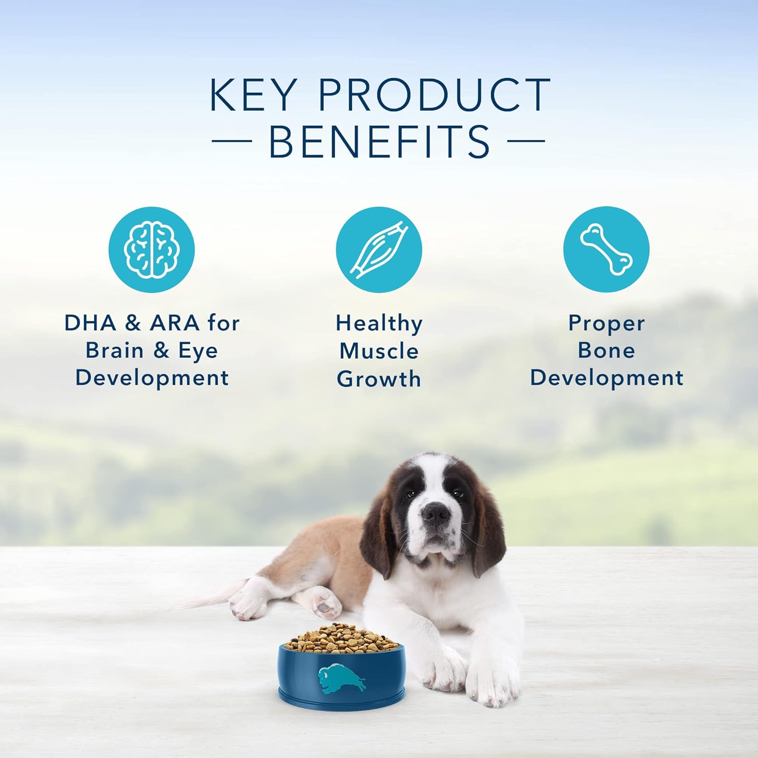 Blue Life Protection Formula Puppy Large Breed Chicken and Brown Rice Recipe Dry Dog Food – Gallery Image 4
