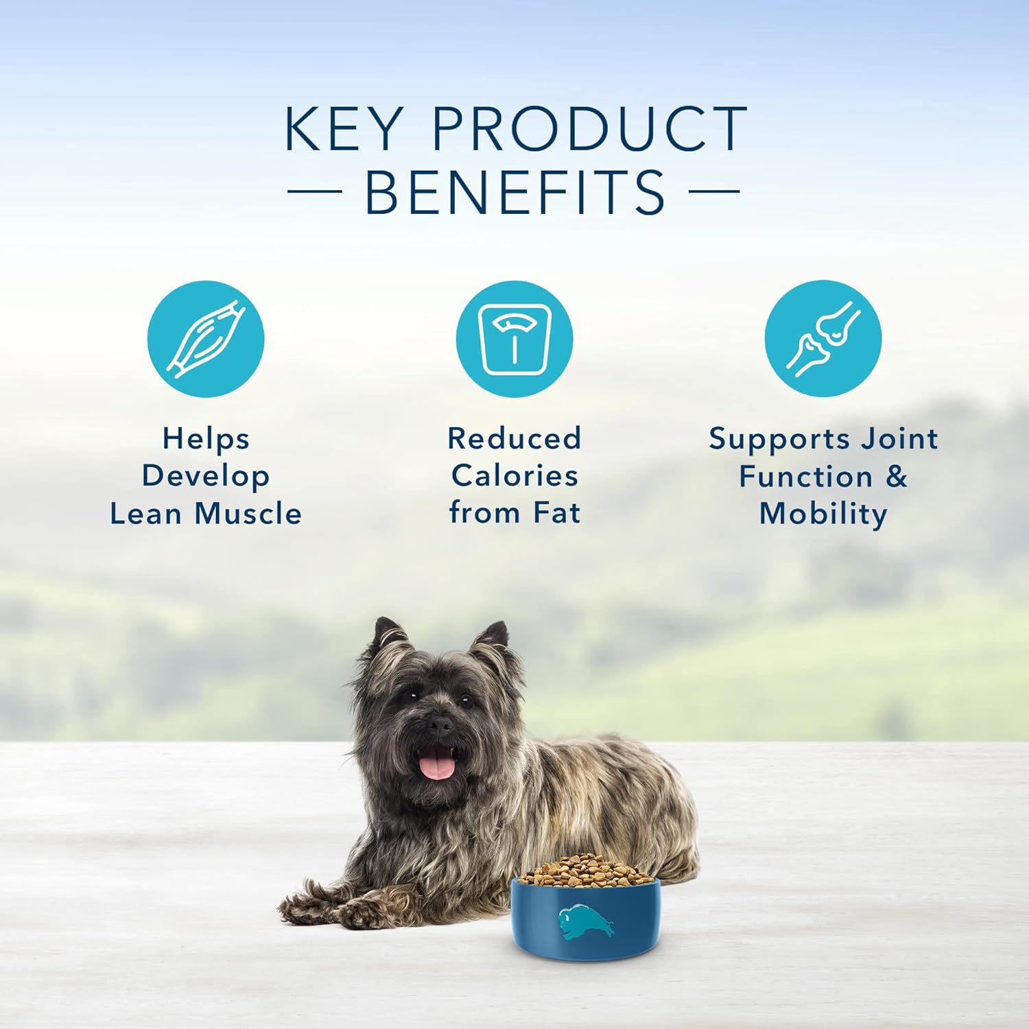 Blue Life Protection Formula Small Breed Adult Healthy Weight Chicken and Brown Rice Recipe Dry Dog Food – Gallery Image 5