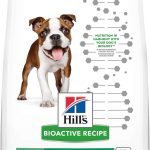 Hill’s Bioactive Recipe Puppy Grow + Learn Dry Dog Food