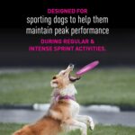 Eukanuba Premium Performance 21/13 Sprint Dry Dog Food, photo 5
