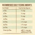 Merrick Lil’ Plates Grain-Free Senior Real Chicken + Sweet Potato Recipe Dry Dog Food, photo 13