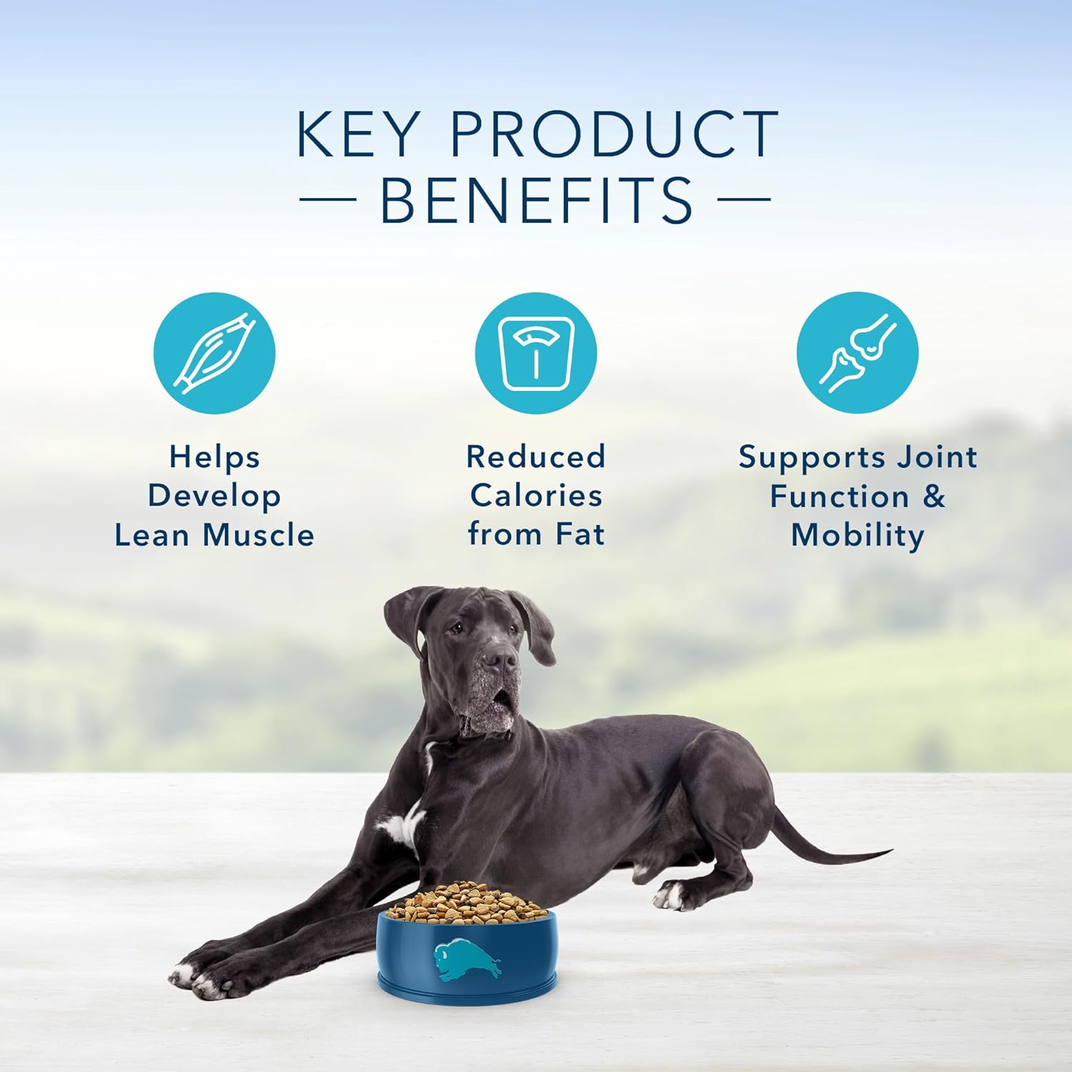 Blue Life Protection Formula Large Breed Adult Healthy Weight Chicken and Brown Rice Recipe Dry Dog Food – Gallery Image 5