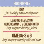 Merrick Lil’ Plates Grain-Free Puppy Real Chicken + Sweet Potato Recipe Dry Dog Food, photo 13