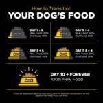 Go! Solutions Skin + Coat Care Duck Recipe with Grains Dry Dog Food, photo 14
